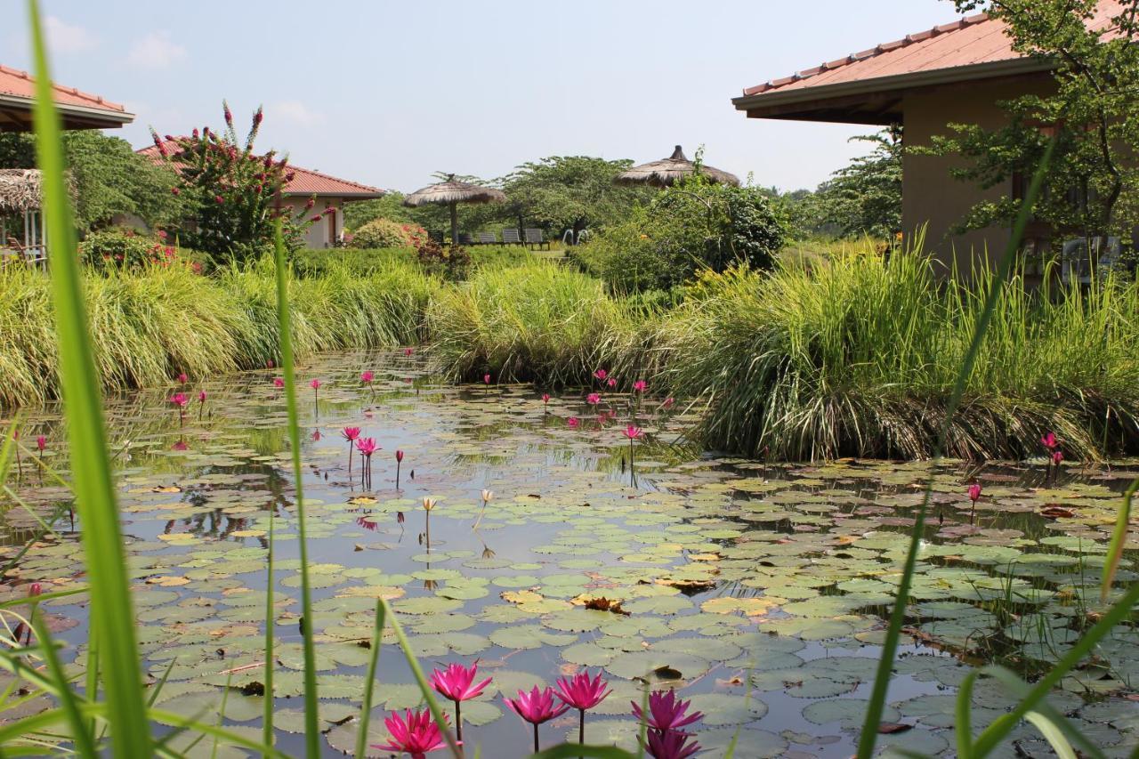 Hibiscus Garden Hotel Tissamaharama Exterior foto