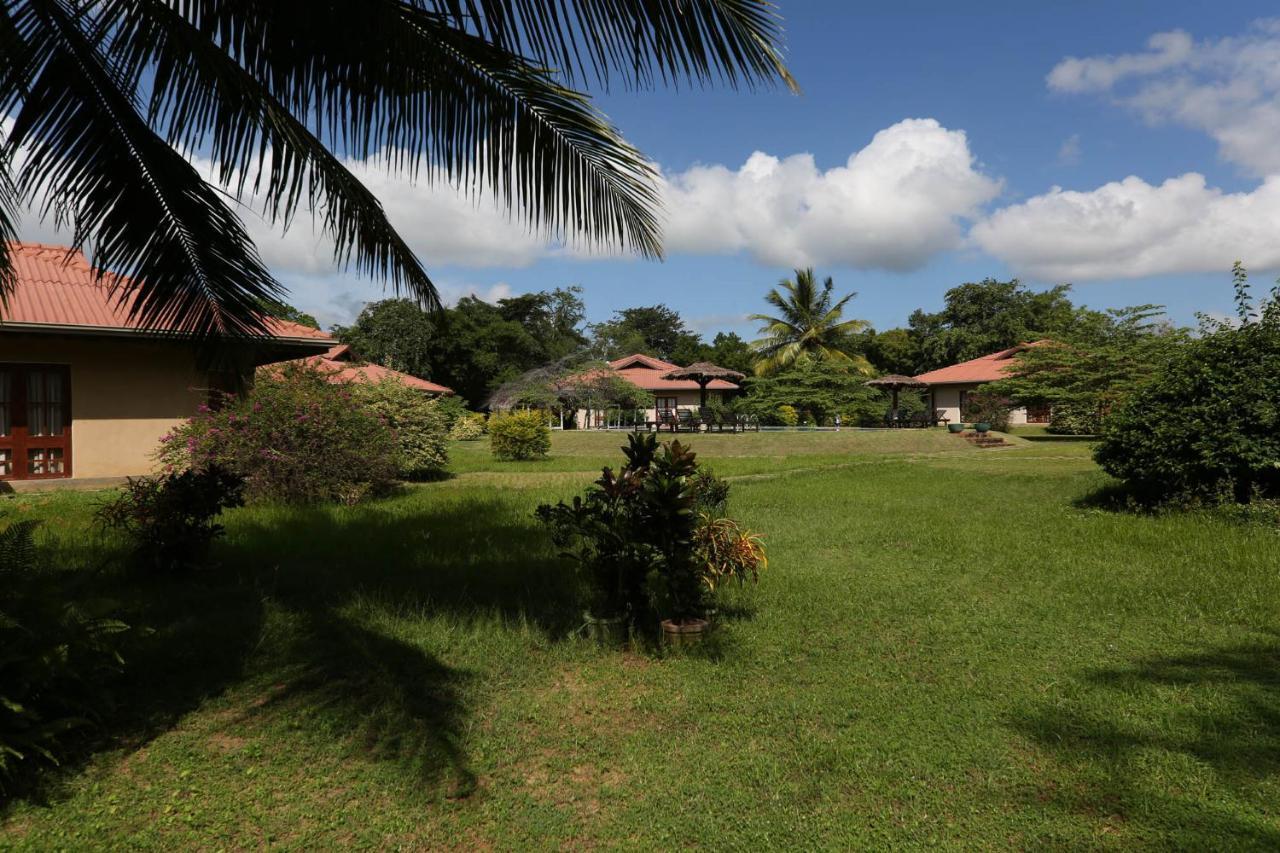 Hibiscus Garden Hotel Tissamaharama Exterior foto